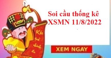 Soi cầu thống kê KQXSMN 11/8/2022