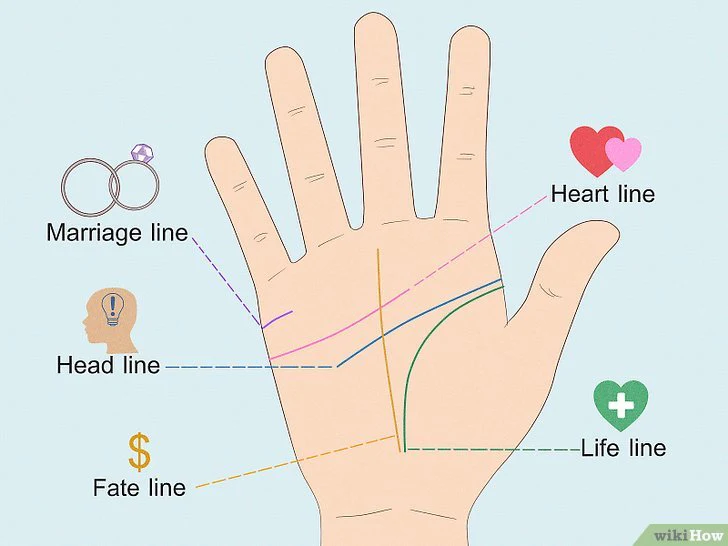Hình dạng của đường chỉ tay hôn nhân 