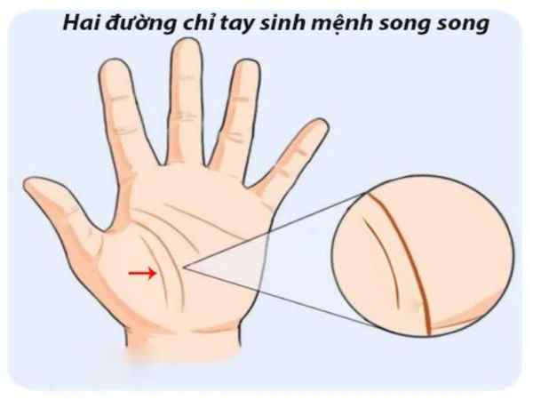 Hai Đường Sinh Mệnh Song Song