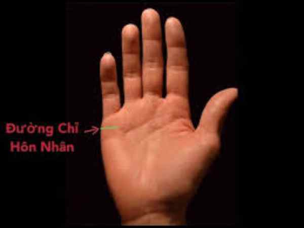 Luận đường chỉ tay hôn nhân