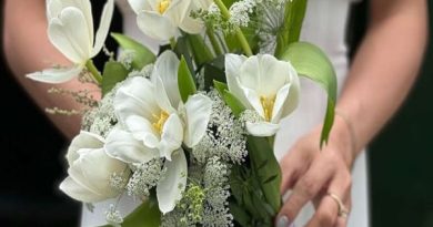 2008 hợp tuổi nào, Mậu Tý kết hôn làm ăn hợp với tuổi nào