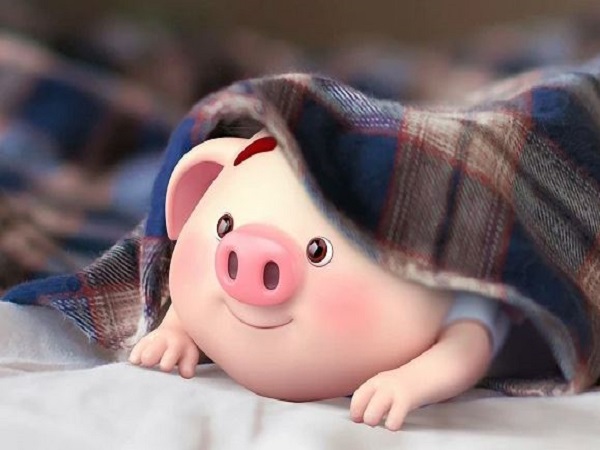 Tổng quan vận mệnh tuổi Hợi ngày 22/11/2025