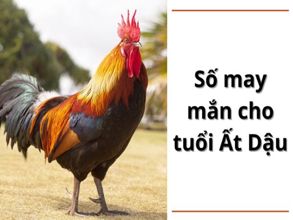 con số may mắn tuổi Ất Dậu ngày 9/1/2026
