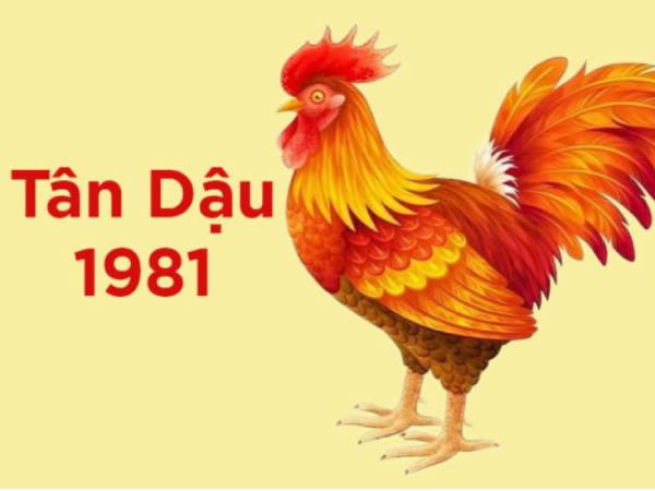 Con số tài lộc tuổi Tân Dậu theo Can Chi ngày 17/1/2026