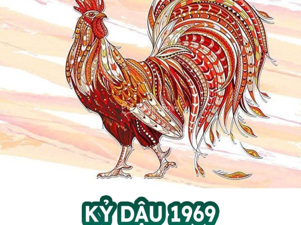 Tổng quan vận trình tuổi Kỷ Dậu ngày 11/1/2026 Tổng quan vận trình tuổi Kỷ Dậu ngày 11/1/2026