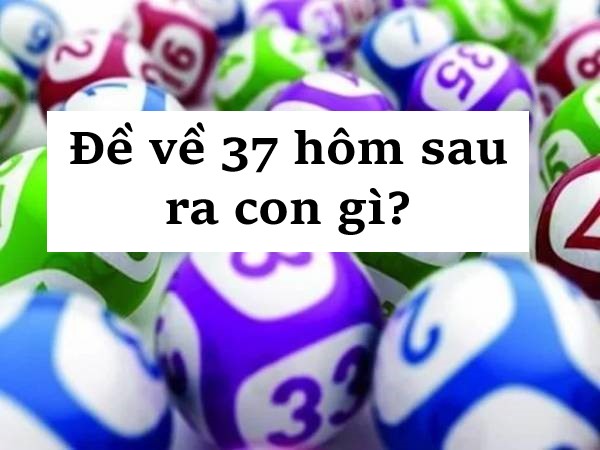 Các phương pháp dự đoán đề về 37 hôm sau đánh con gì