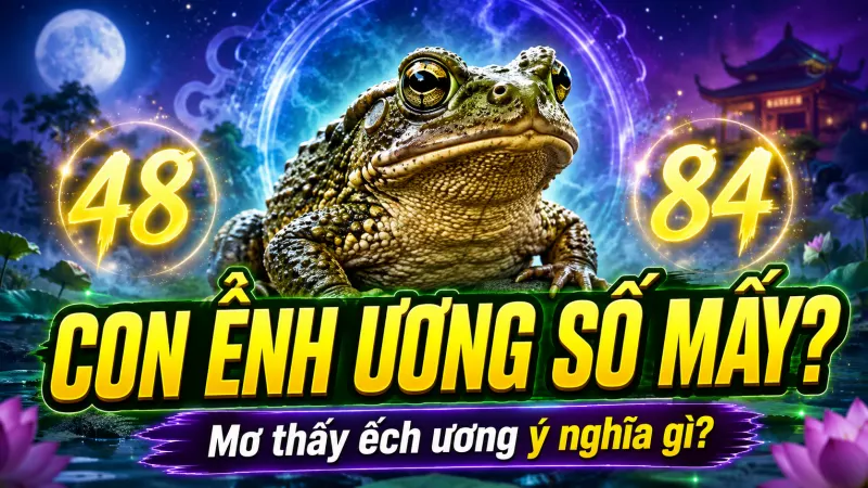 Con ễnh ương số mấy? Mơ thấy ếch ương ý nghĩa gì số nào?
